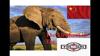 The Elephant in the Holosun