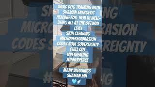 basic dog training shaman healing health well-being optimal  #pethealing#innerpeace