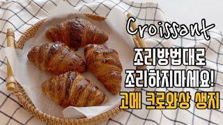 How to bake frozen croissant deliciously (fermentation, cooking)