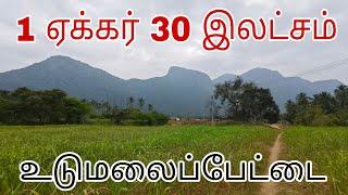 1 ஏக்கர் 30 இலட்சம் ரூபாய் மட்டுமே. கிணறு, தனி போர், தனி சர்வீஸ். | Agri land | Udumalpet