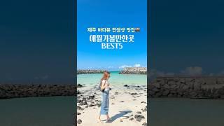 제주 바다뷰 배경으로 인생샷 건질 수 있는 애월 가볼만한곳 BEST5 🩵
