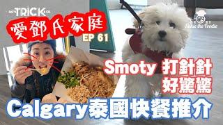 愛鄧氏家庭日常 EP 61 SMOTY 打針針 好驚驚 CALGARY泰國快餐推介