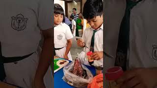 #volcano  project / #childrensdayspecial #exhibition#dpsschool