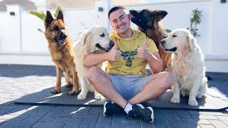 What does a WORKOUT look like with 4 dogs at home