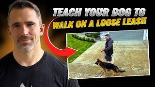 Teaching Your Dog How to Walk Nicely on Leash!