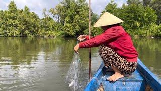 SÁNG THEO MẸ RA VUÔNG DĂNG LƯỚI VÔ LÀM BỮA CƠM SÁNG ĐƠN GIẢN MÀ NGON | BQCM