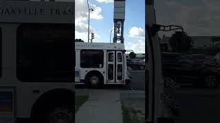 Oakville Transit Nova Bus LFS 2021 (2027) and New Flyer D40LFR 8104