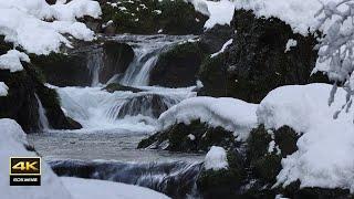 4K video + natural environmental sounds, snowy scenery and water sounds, bird sounds