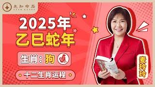 麦玲玲师傅详解2025蛇年运程：生肖狗！事业运、财运、人际关系、爱情、婚姻、健康全解析！