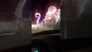 AMAZING Octopus Light Show - Branson Missouri - Danny the Man Parker