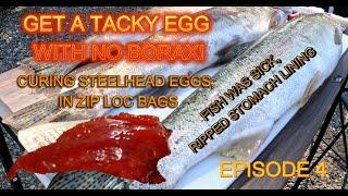 EGG CURE NO.4, ZIP LOCK BAG CURE,FAN DRY-LONGER LASTING EGGS! #fishingtips #fishing #catchingfish