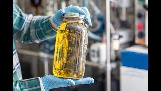 How It's Made: Cannabis Distillate Oil