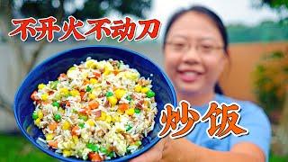 老佳用微波炉做蛋炒饭：不开火不动刀，从生米做起15分钟搞定 Microwave Fried Rice Recipe