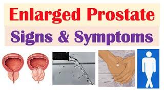 Enlarged Prostate Signs & Symptoms (& Why They Occur)