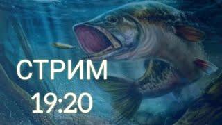 Стрим, играем в Ultimate Fishing Simulator и My Fishing World