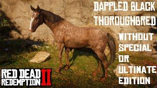 Reverse Dapple Black Thoroughbred without Special or Ultimate Edition | Cheats | RDR2