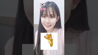 동물소리 중국어vs한국어 비교!