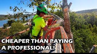 I Rented a Lift for DIY Tree Removal at World Headquarters Build!