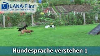 Hundesprache verstehen 1 - Spiel oder Ernst nach SNOPUS®  (DVD Trailer)