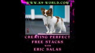 Creating perfect stacks with your dog for the show ring - with Eric Salas