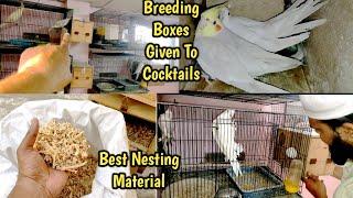 हमने Cockatiel को दिये Breeding Boxes इस साल की ब्रीडिंग  Start करने के लिए | Best Nesting Material