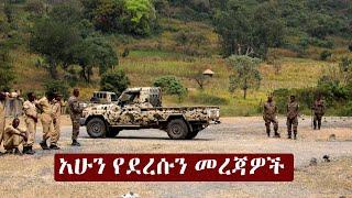 Ethiopia አሁን የደረሰን መረጃ | The Ethiopia News Now November 22, 2024 | The Ethiopia Channel