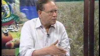 Dairy Profitability in Pakistan, Zarai Pandal, Royal News, Lahore - Last Part