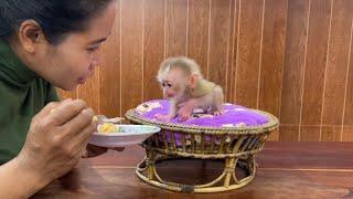 Smallest A Tong Eagerly To Taste Boiled Eqq Recipes