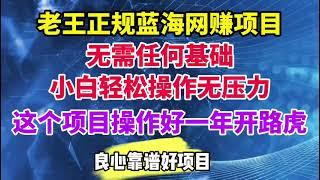 老王正规蓝海项目！全网无人操作独家网络赚钱技术分享！无基础小白轻松操作无压力！日赚几百很轻松！