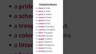 Collective Nouns List | Enhance Your English Vocabulary with These Fun Words! #collectivenoun