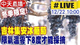 【中天直播#LIVE】冬季限定! 吉林集安冰葡萄 限氣溫零下8度才能採摘 20241222 @全球大視野Global_Vision