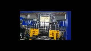 Blow molding machine