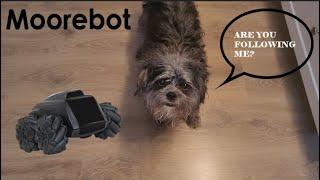  "Scout by Moorebot: Your Smart AI Companion Unveiled | In-Depth Review and Demo!" 
