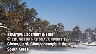 Beautiful snow & scenery inside Chungbuk National University - South Korea