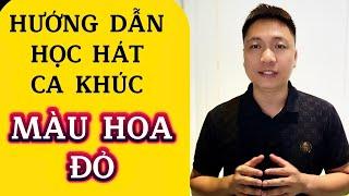 Hướng dẫn học hát ca khúc “MÀU HOA ĐỎ” cho người mới bắt đầu | Thanh Trình