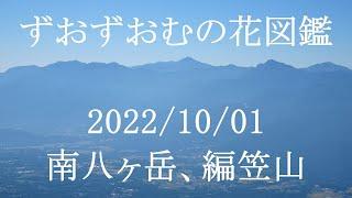 南八ヶ岳、編笠山