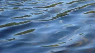 Hydromancy / Water Scrying Exercise 1: waves on pond