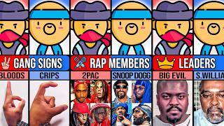 Gang Comparison: Bloods VS Crips