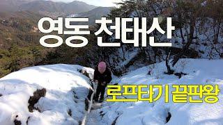 충북의 설악/암벽로프의 끝판왕/영국사 은행나무(1300년)