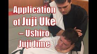 Kata BUNKAI - Application of Juji uke - Ushiro Juji jime