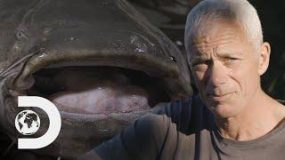 Is The Lake Garda Monster A Wels Catfish? | Jeremy Wade's Dark Waters