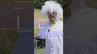 DISTANCE BETWEEN THE CAMERA - HOW CAN I CHANGE DEPTH OF FIELD?  | Genius Beginner Photography Tips