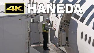 [4K] Arrival and ground handling of JAL Boeing 777 at Tokyo Haneda Airport / 羽田空港 日本航空