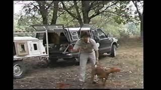 Gun Dog Magazine Presents: Gun Dog: Training Pointing Dogs, Featuring Bob West (1989)