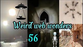 weird web wonders 56