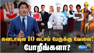 கனடாவில் கொட்டிக்கிடக்கும் வேலை வாய்ப்புகள்! யாரெல்லாம் செல்ல முடியும்? | Jobs in Canada | Jobs