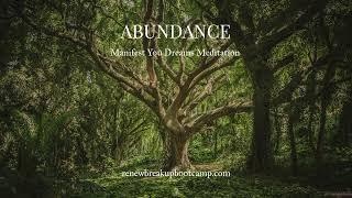 The Abundance Meditation by Amy Chan (Best) - Manifest Your Dream Life and Relationship