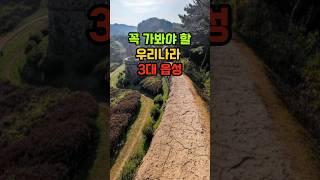 꼭 가봐야 할 우리나라 3대 읍성, 역사의 숨결을 느끼다