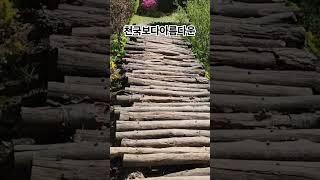 임영웅#천국보다아름다운#청주우천불고기 #찬옥이자유tv