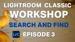 Lightroom Classic 2025 Workshop - Search and Find - Beginners